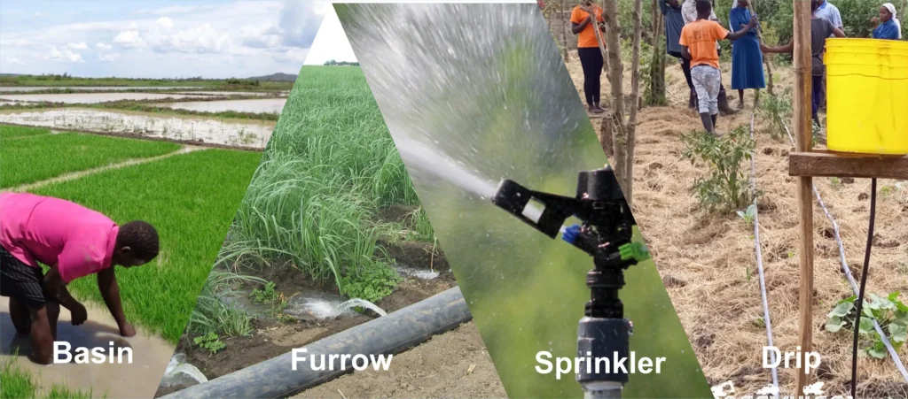 Nyeri Tea Farm Irrigation Automation